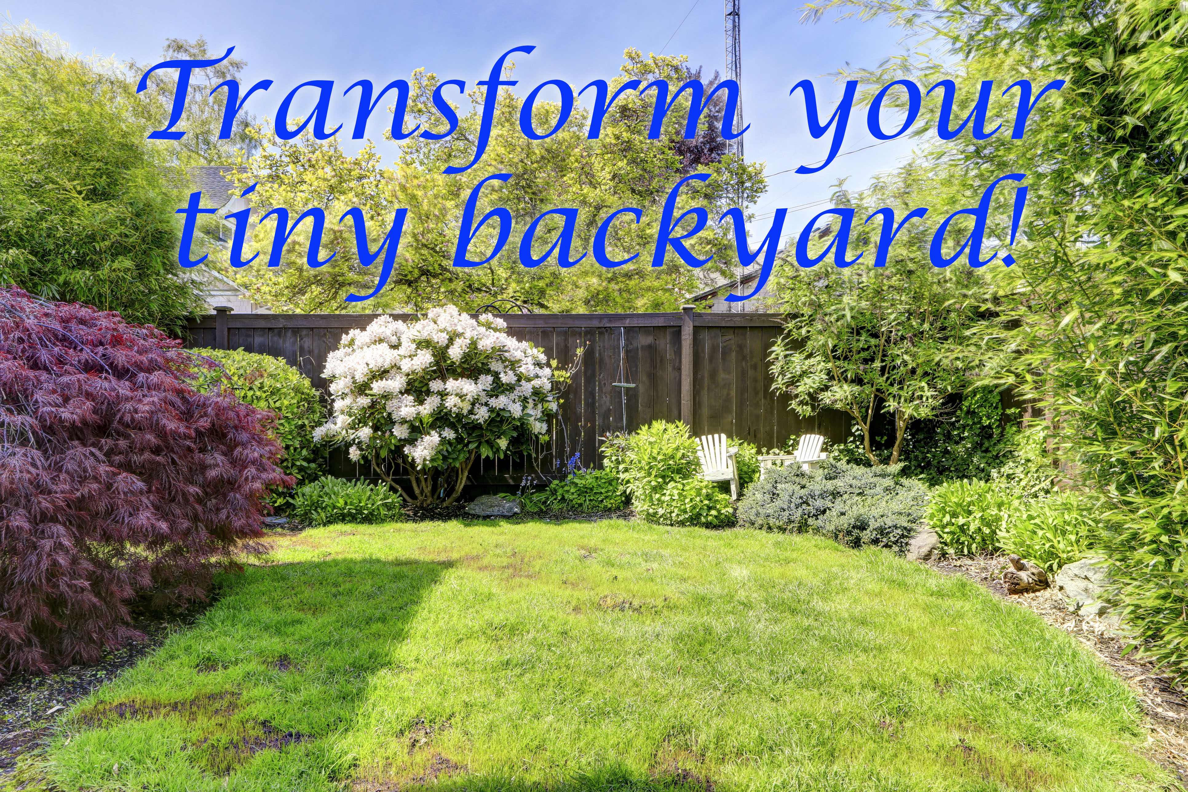 Landscaping A Small Backyard Siegmund, How Do You Landscape A Small Backyard